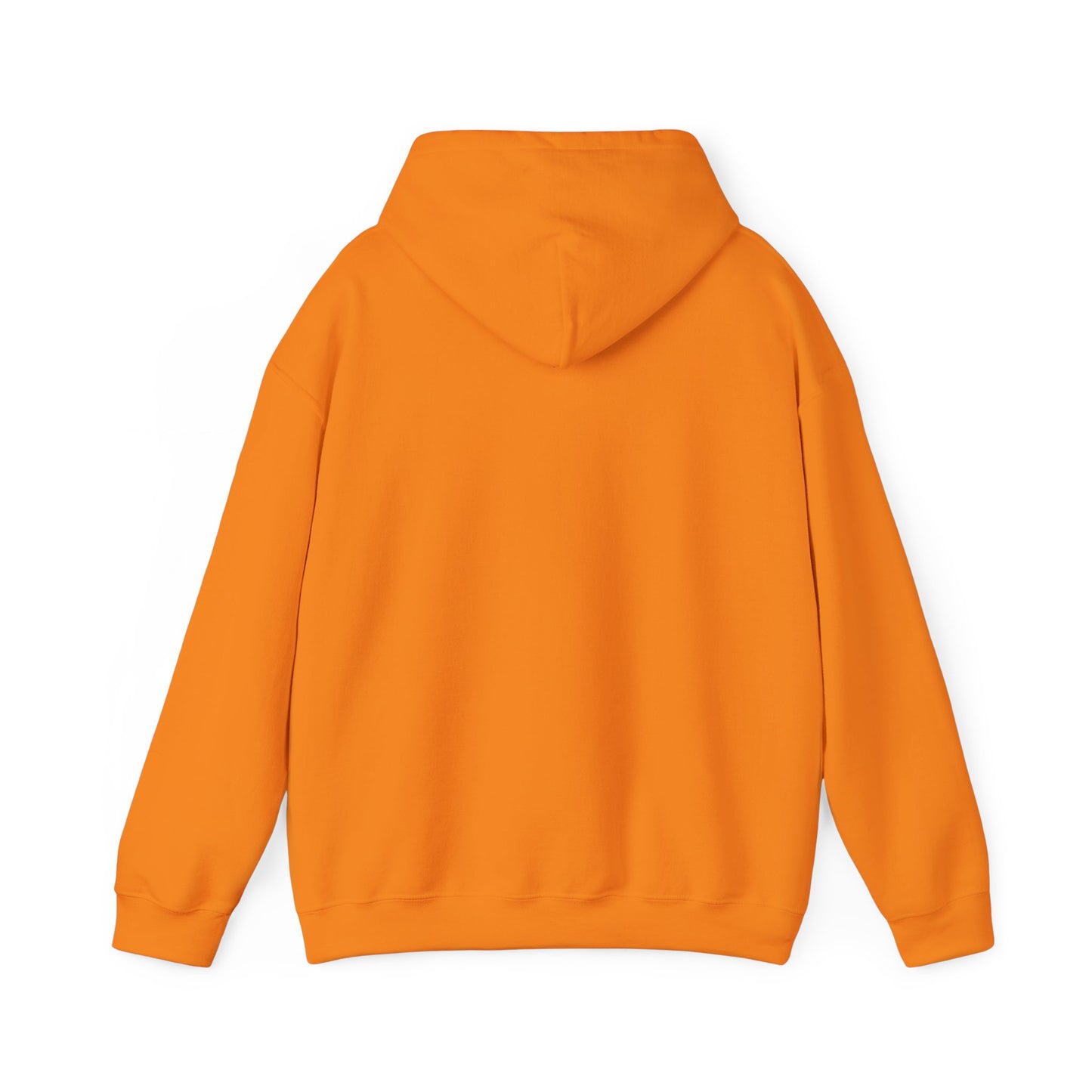 LASIS HOODIE