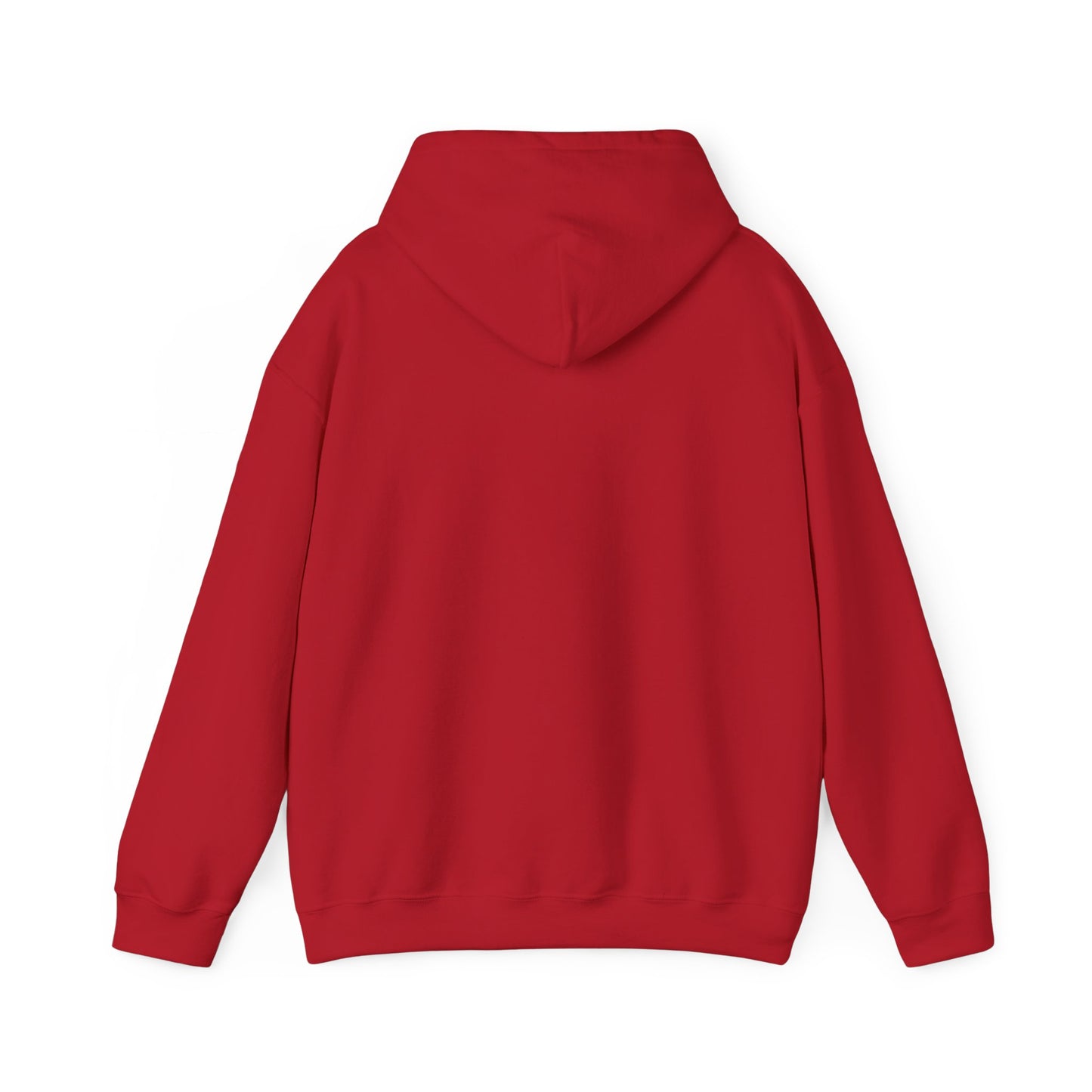 LASIS HOODIE