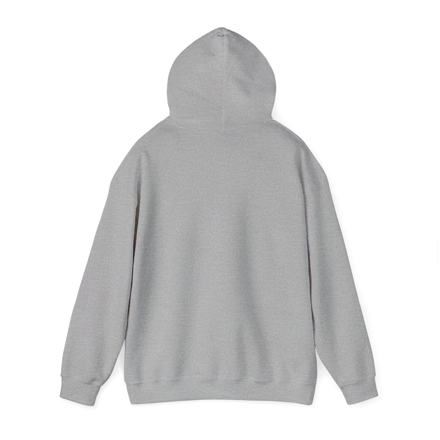 LASIS HOODIE