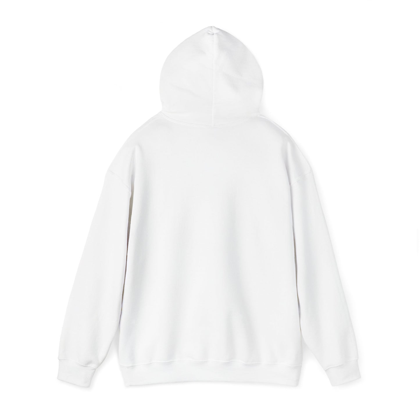 LASIS HOODIE