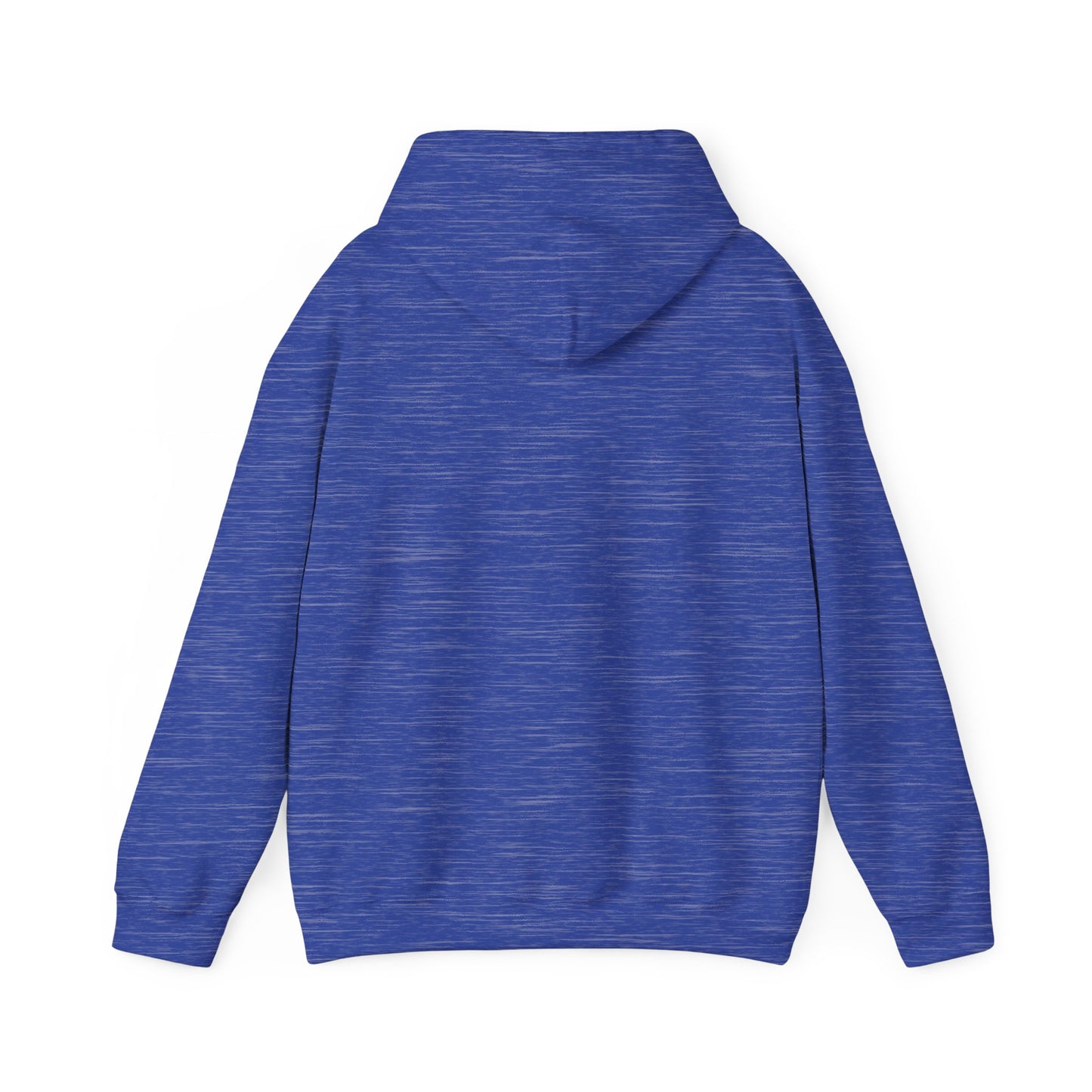 LASIS HOODIE