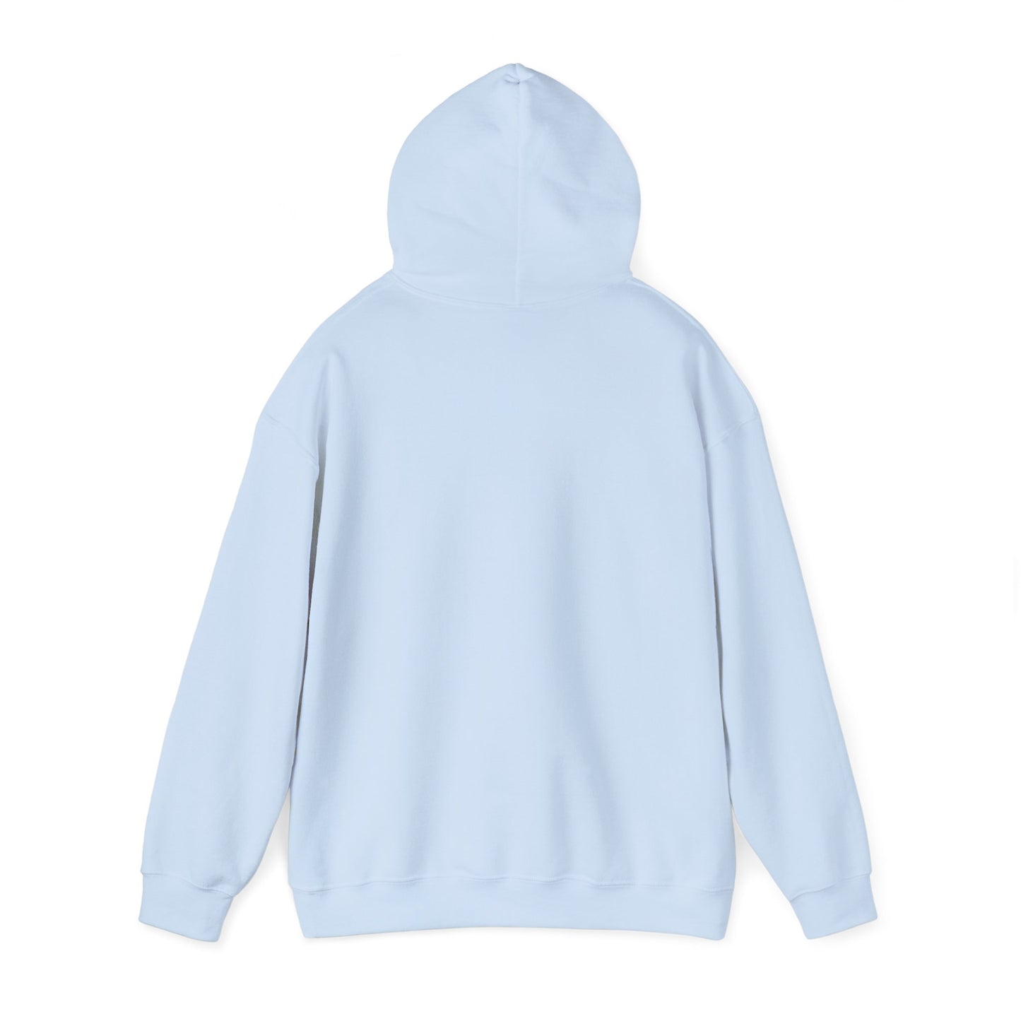 LASIS HOODIE