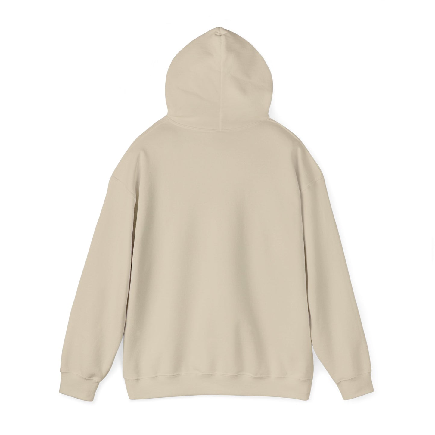 LASIS HOODIE