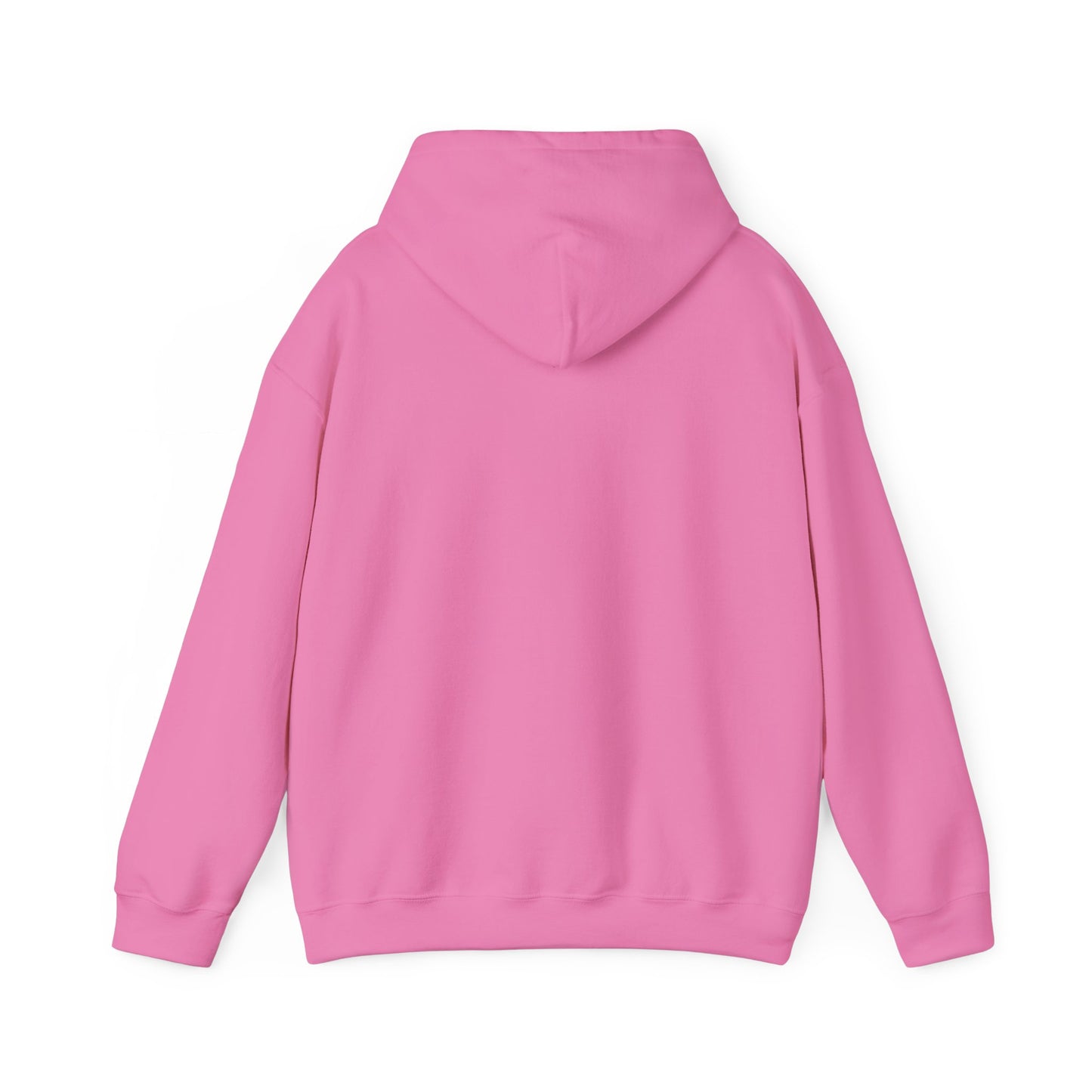 LASIS HOODIE