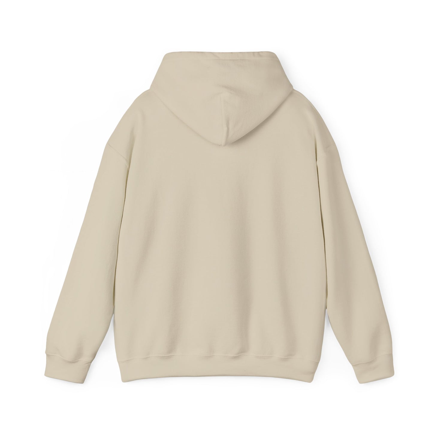 LASIS HOODIE