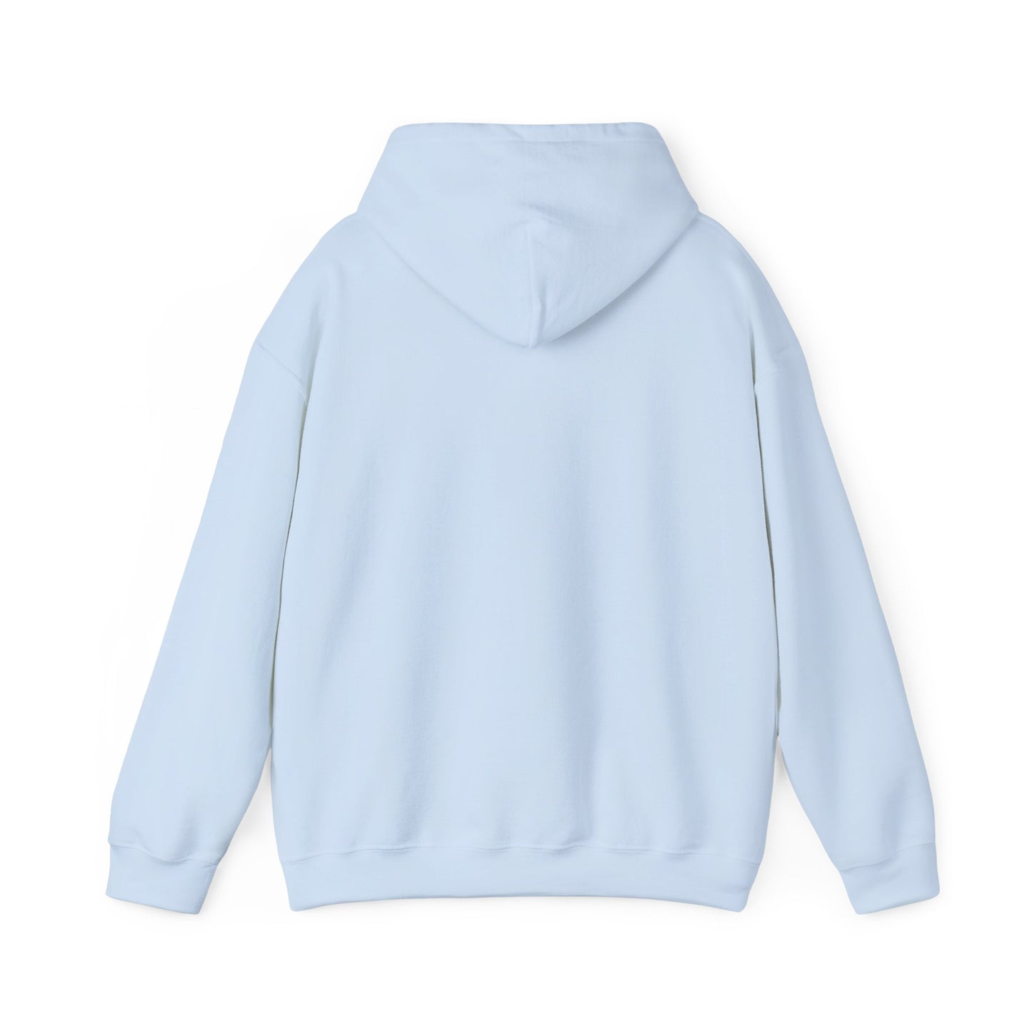 LASIS HOODIE