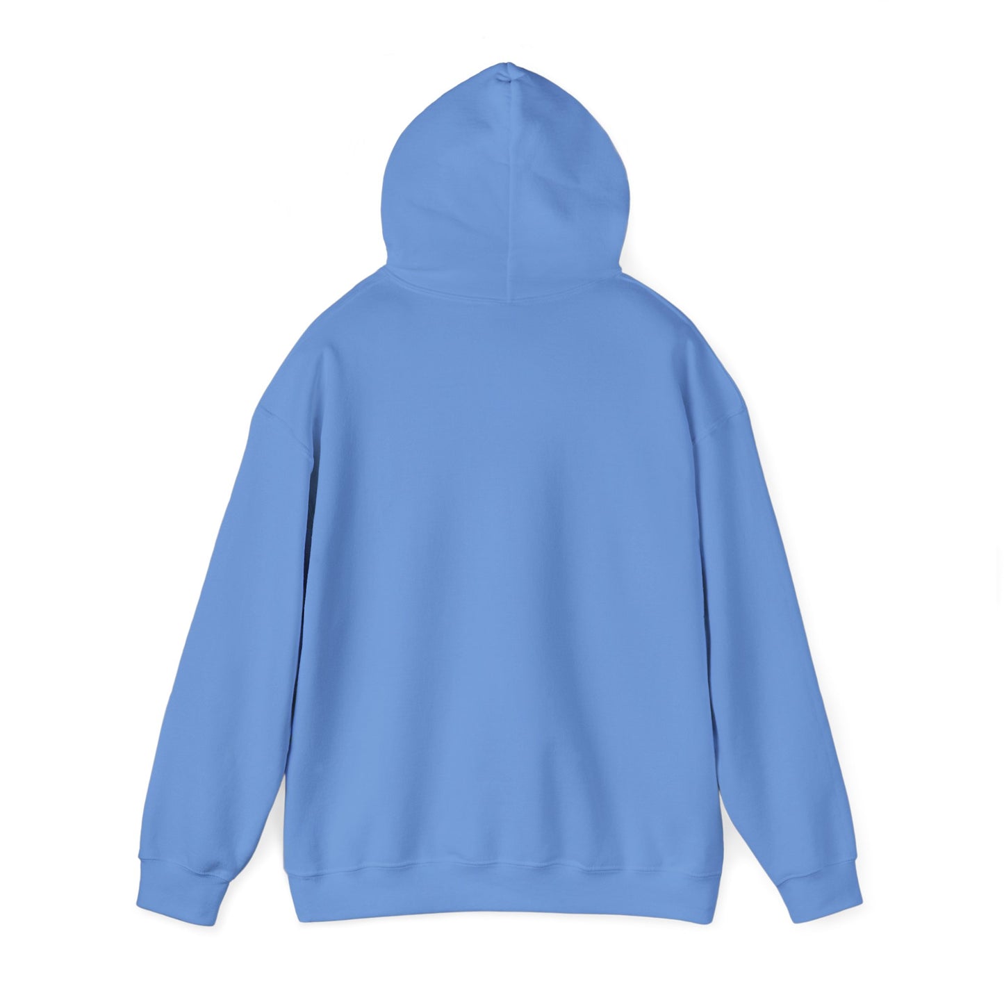 LASIS HOODIE