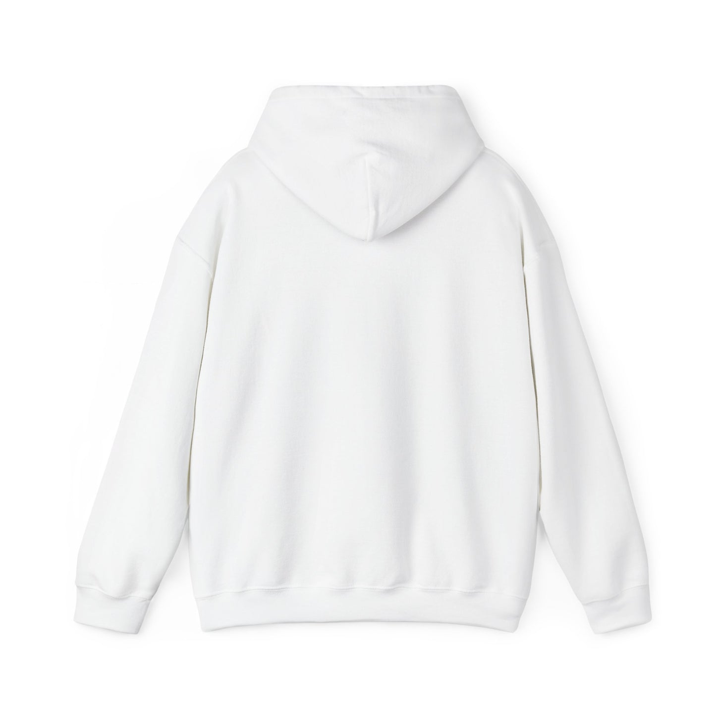 LASIS HOODIE