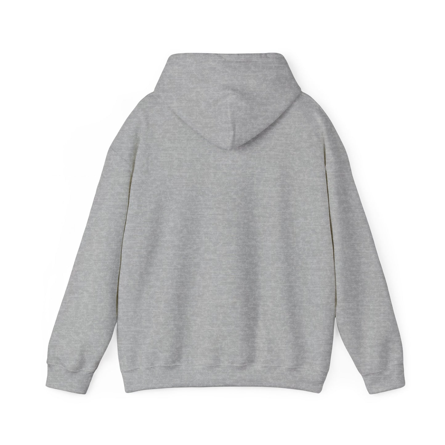 LASIS HOODIE