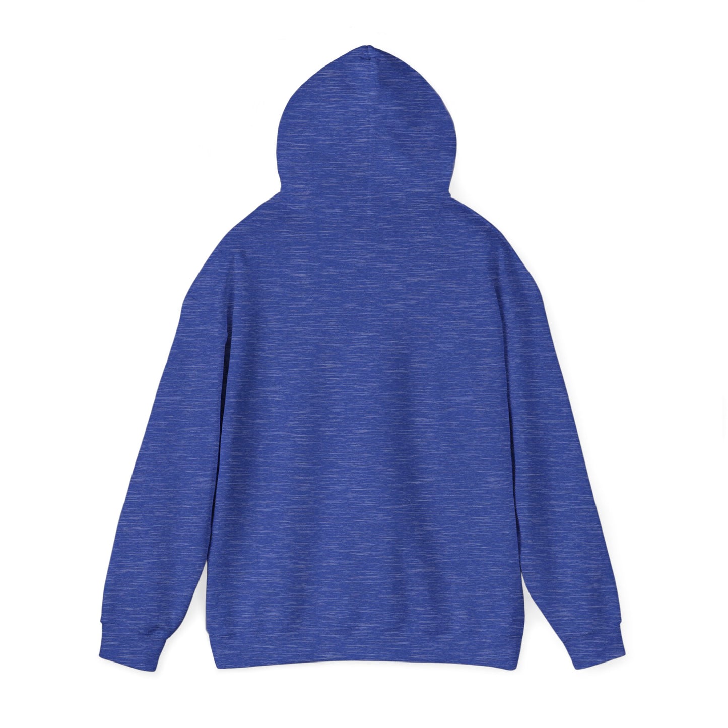 LASIS HOODIE