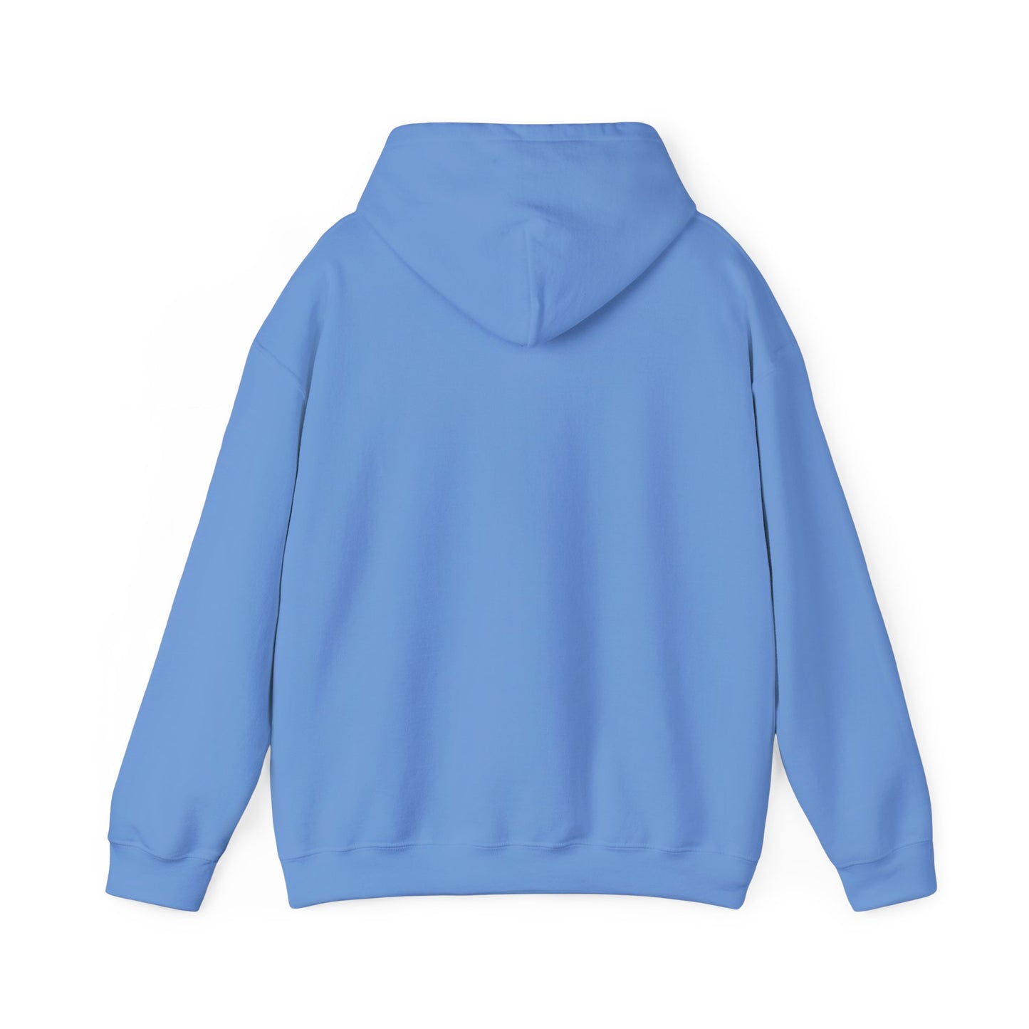 LASIS HOODIE