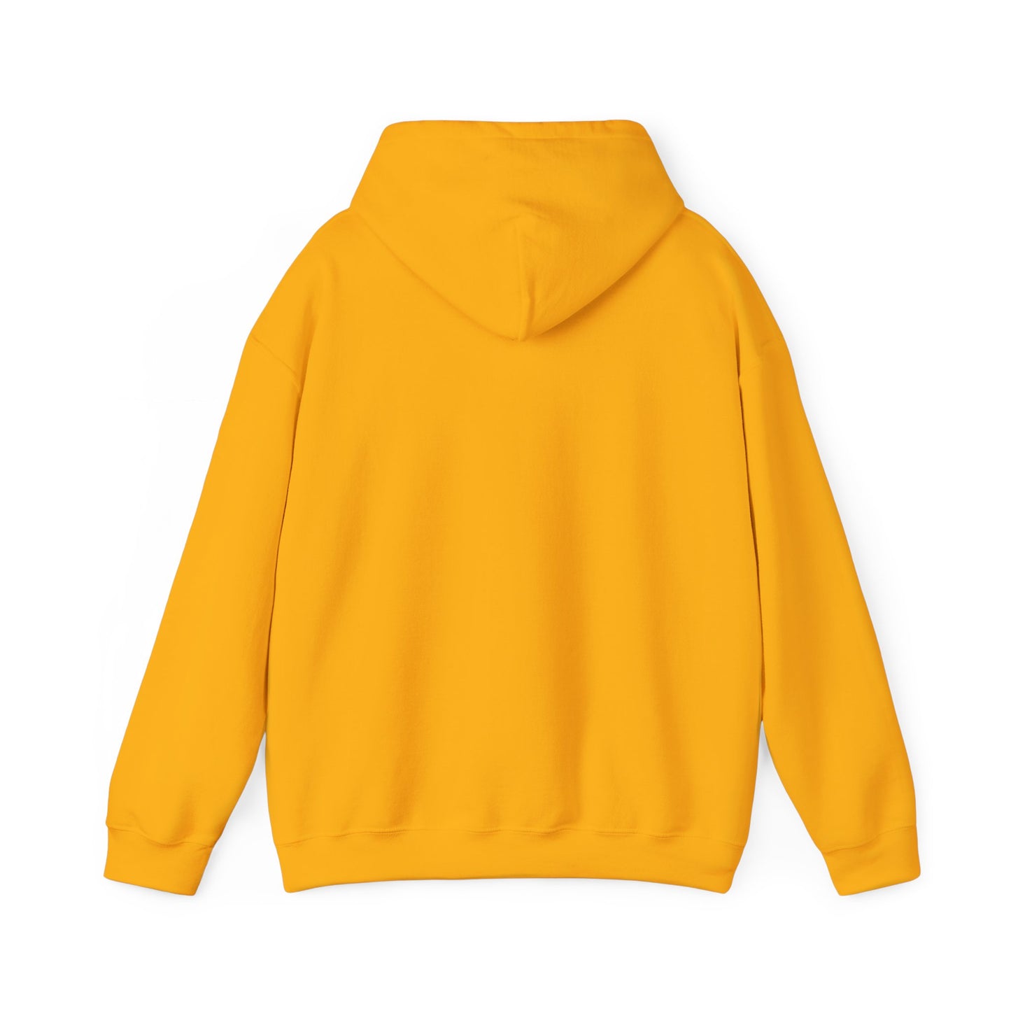 LASIS HOODIE