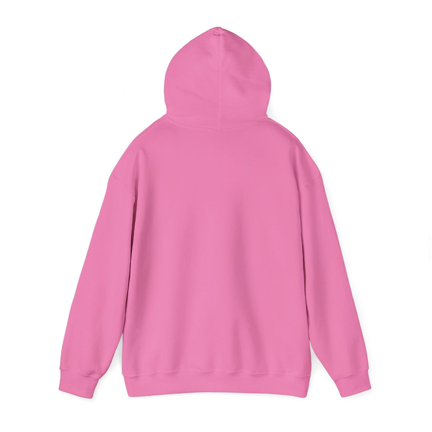 LASIS HOODIE