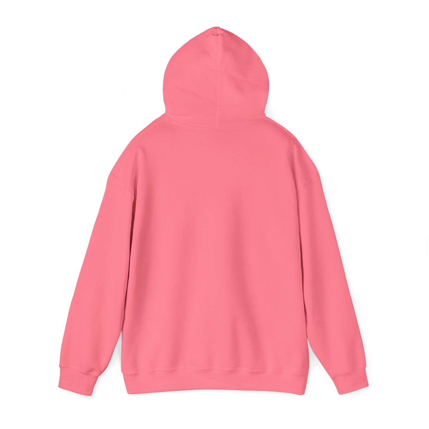 LASIS HOODIE