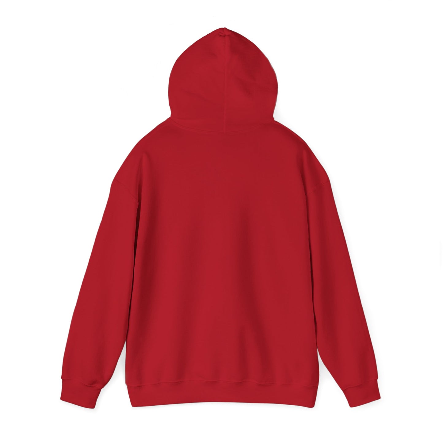 LASIS HOODIE