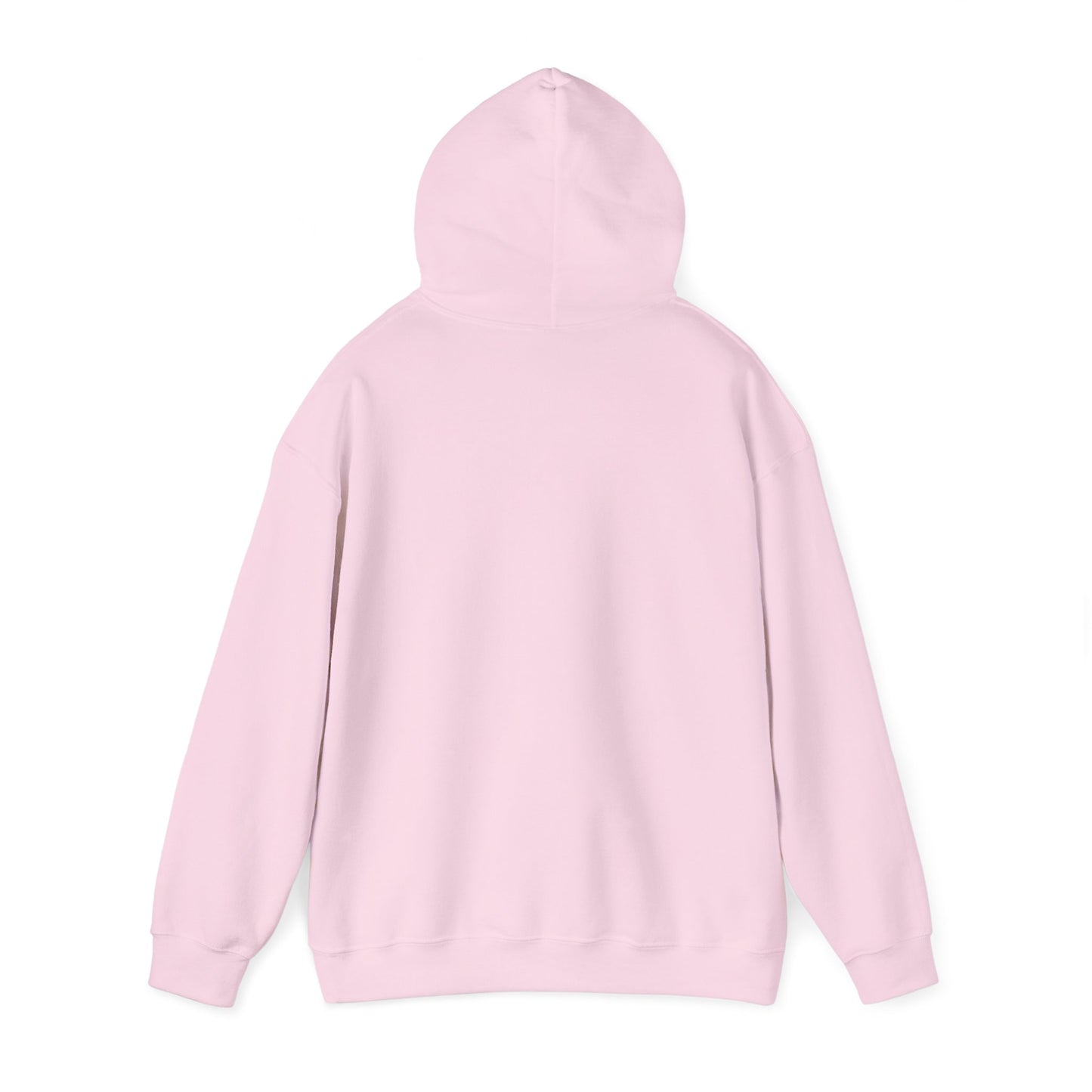LASIS HOODIE