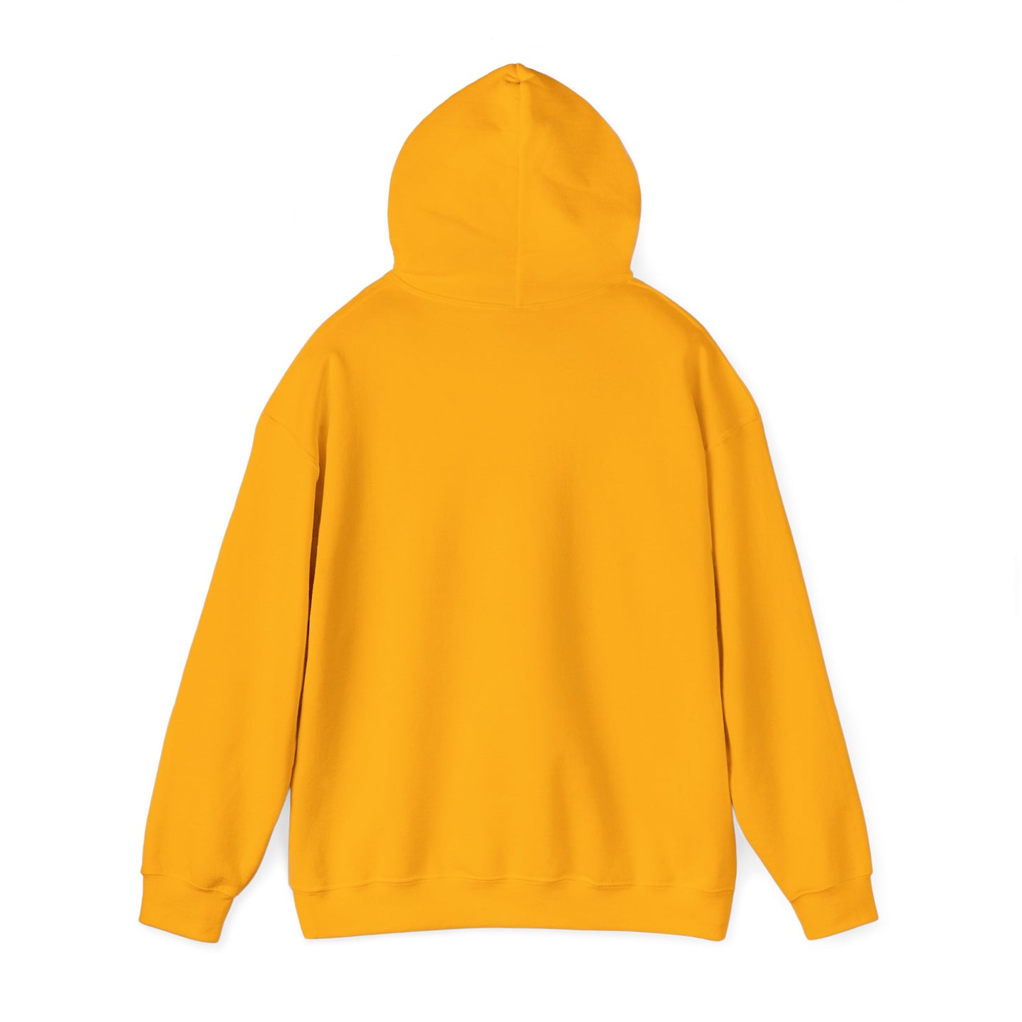 LASIS HOODIE