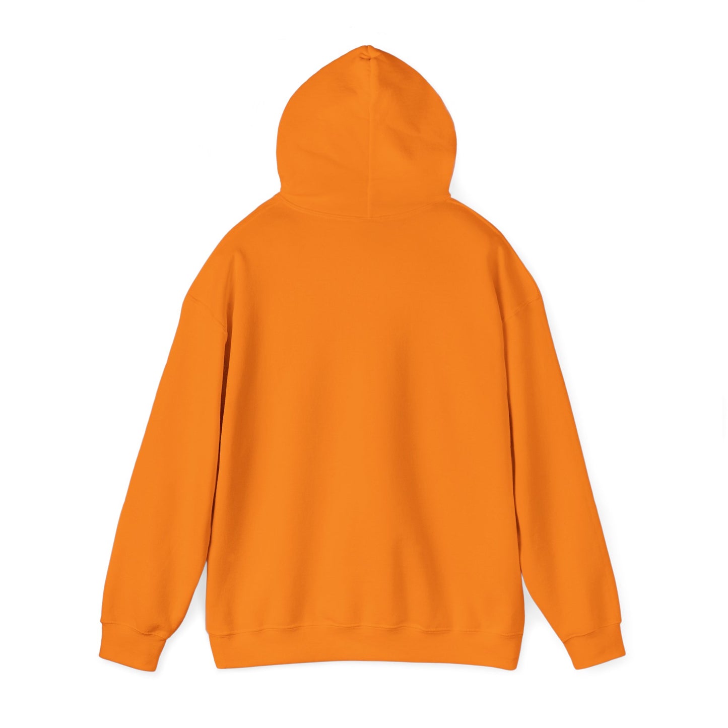 LASIS HOODIE