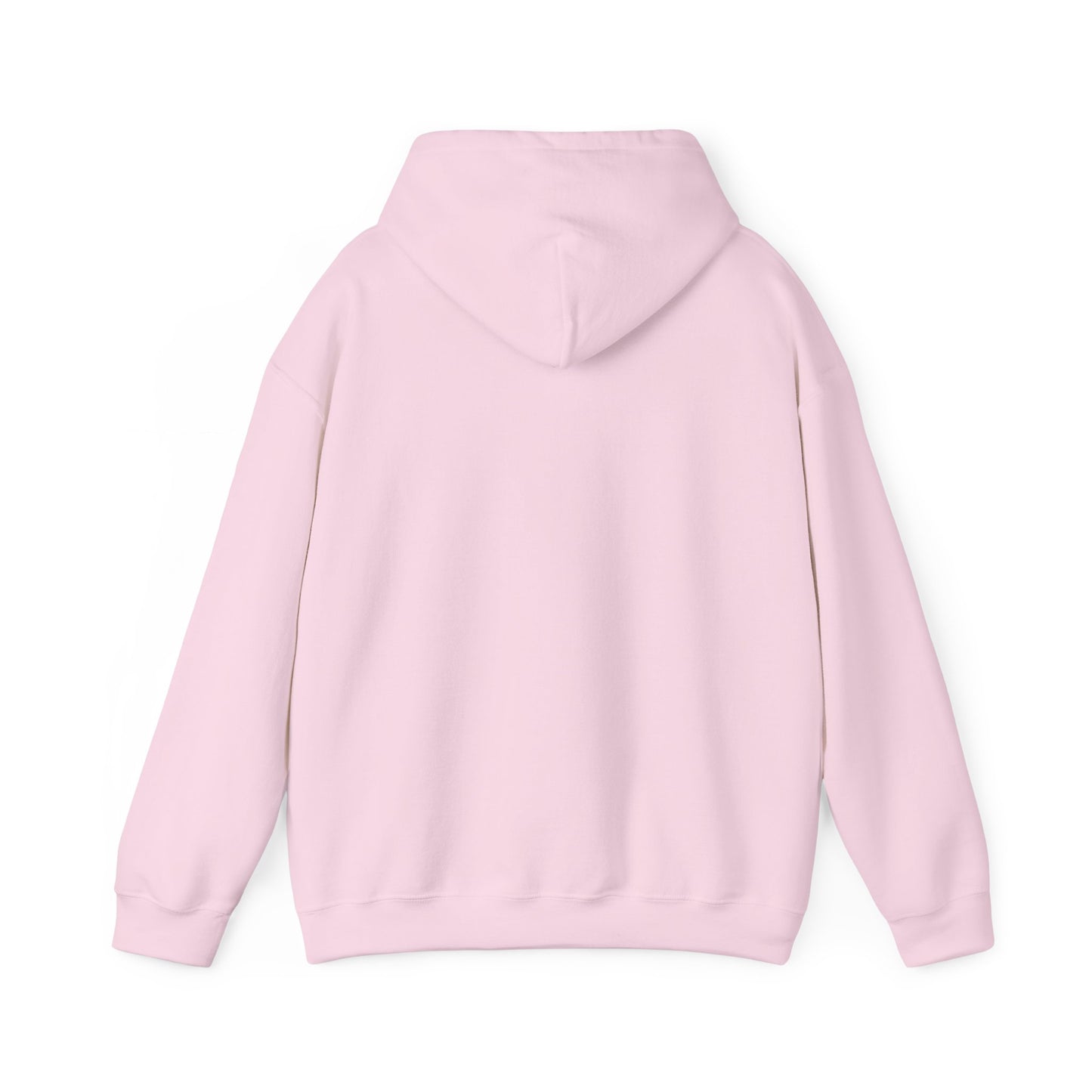 LASIS HOODIE